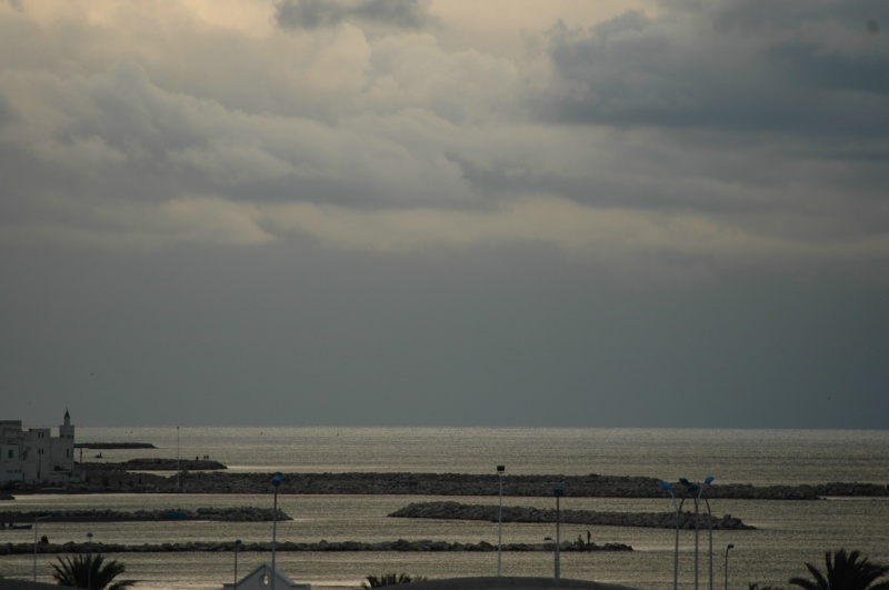  DSC0435